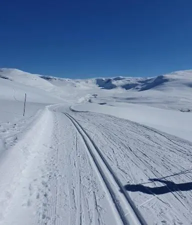 Panorama Апартаменты Олден