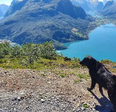 Lägenhet Panorama Olden