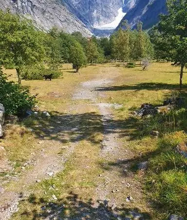 Panorama *