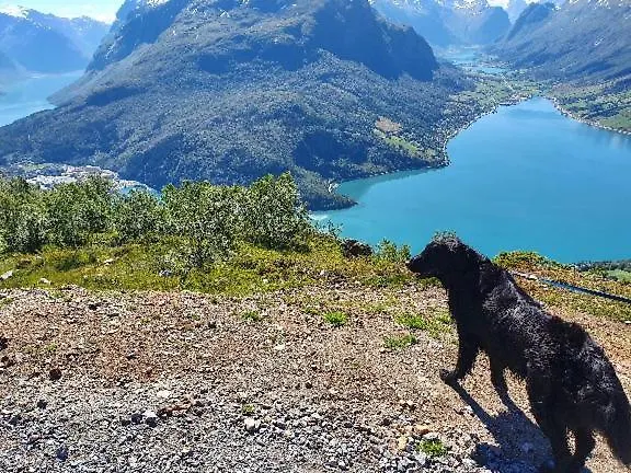 Апартаменты Panorama Олден