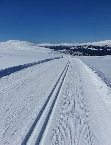 Апартаменты Panorama